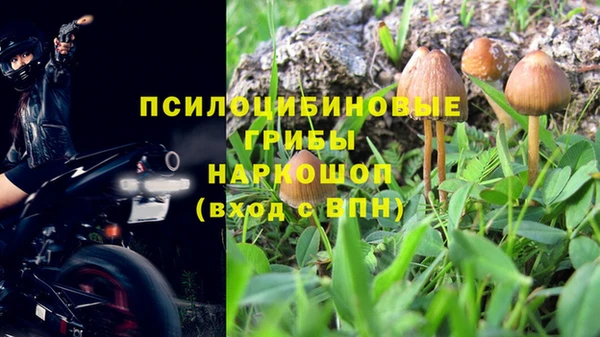 прущая мука Горно-Алтайск