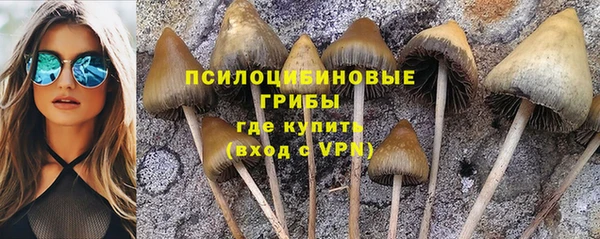 ешки Володарск